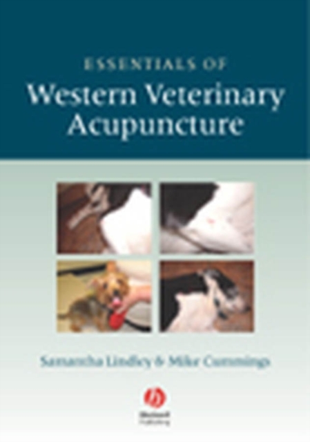 Essentials of Western Veterinary Acupuncture, PDF eBook