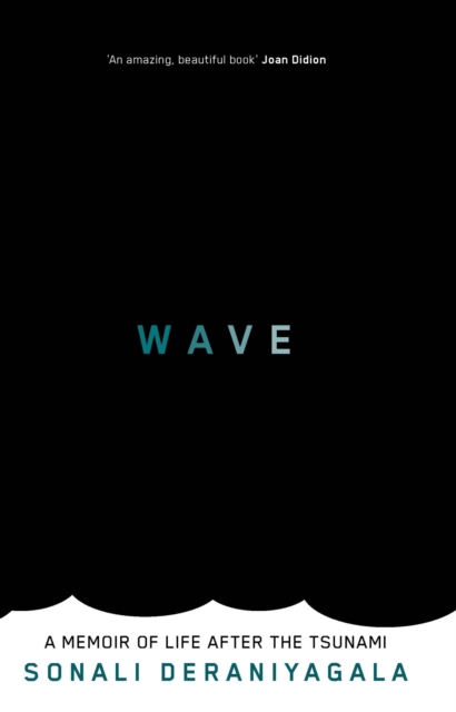 Wave : A Memoir of Life After the Tsunami, EPUB eBook