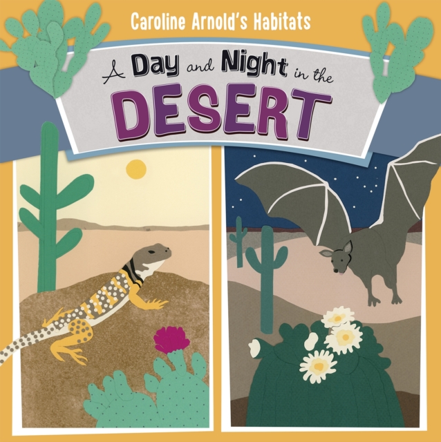A Day and Night in the Sonoran Desert, PDF eBook