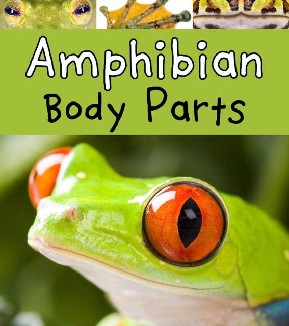 Amphibian Body Parts, PDF eBook