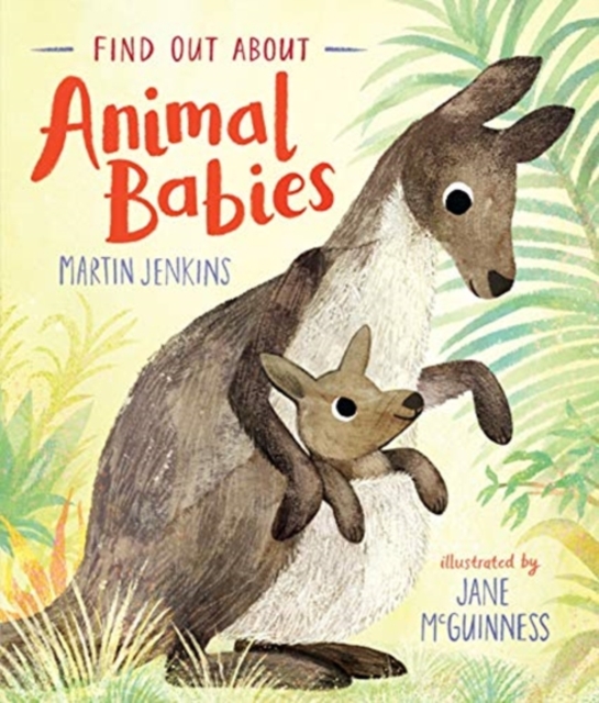 Find Out About ... Animal Babies, Hardback Book