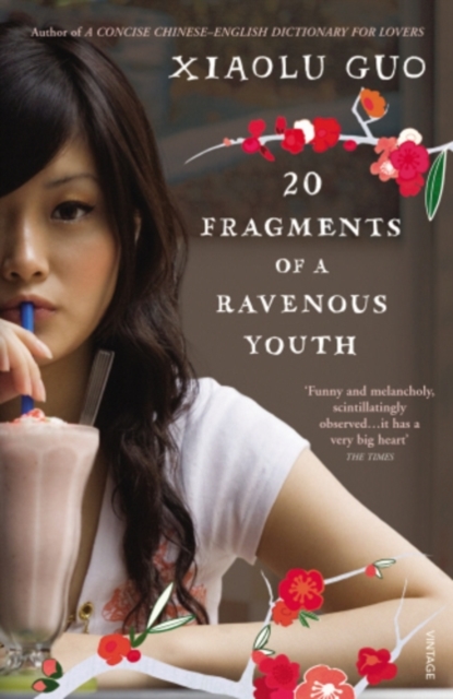 20 Fragments of a Ravenous Youth, EPUB eBook