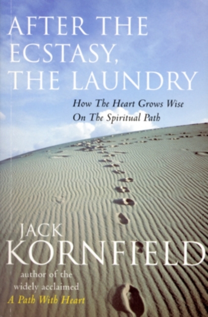 After The Ecstasy, The Laundry, EPUB eBook
