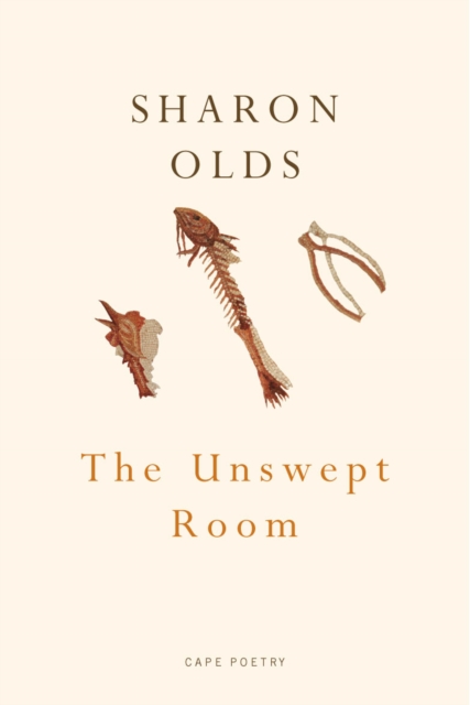 The Unswept Room, EPUB eBook