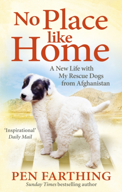 No Place Like Home : A New Beginning with the Dogs of Afghanistan, EPUB eBook
