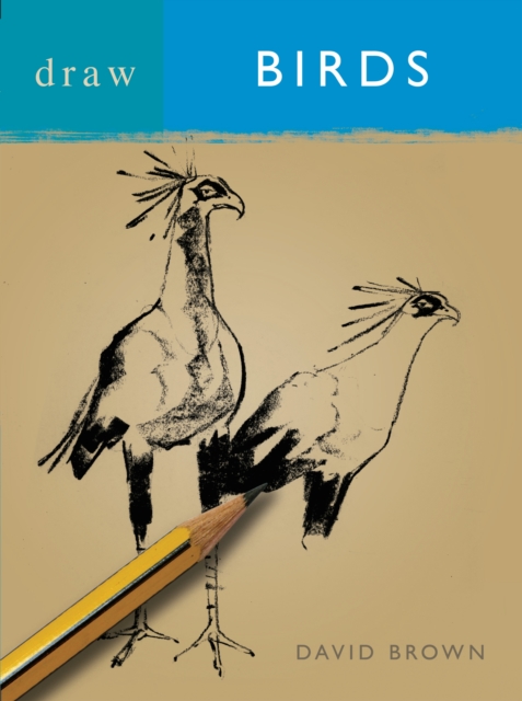 Draw Birds, PDF eBook