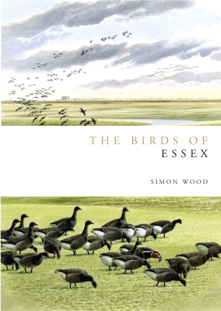 Birds of Essex, PDF eBook