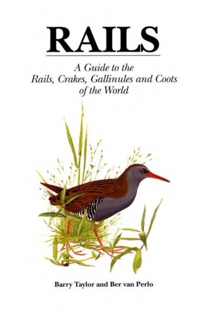 Rails : A Guide to Rails, Crakes, Gallinules and Coots of the World, PDF eBook