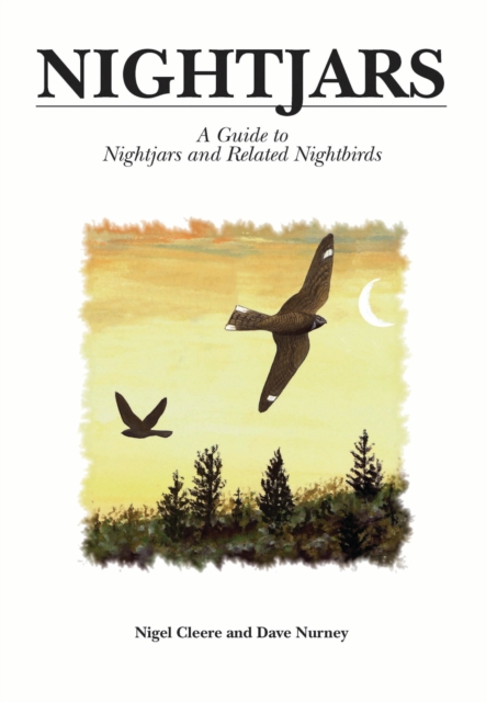 Nightjars : A Guide to Nightjars and Related Birds, EPUB eBook