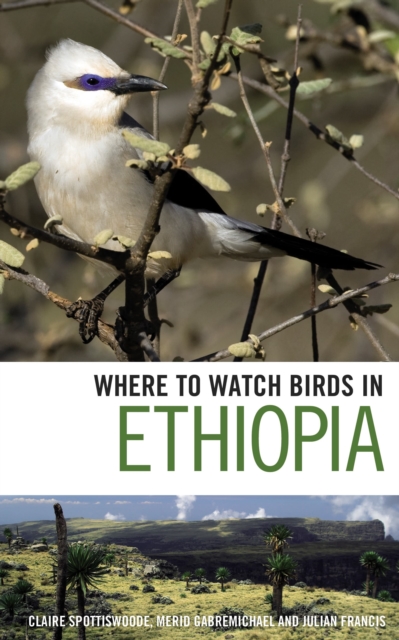 Where to Watch Birds in Ethiopia, PDF eBook