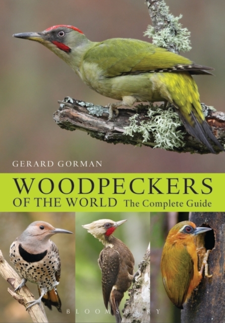 Woodpeckers of the World : The Complete Guide, PDF eBook