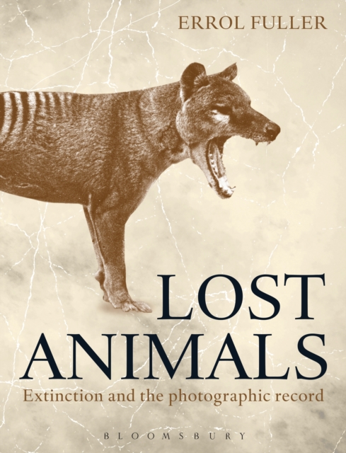 Lost Animals : Extinction and the Photographic Record, PDF eBook
