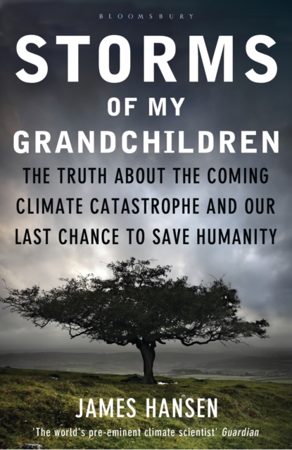 Storms of My Grandchildren : The Truth about the Coming Climate Catastrophe and Our Last Chance to Save Humanity, Paperback / softback Book
