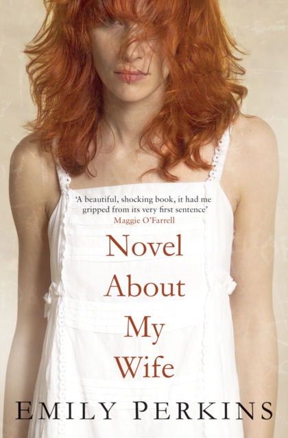 Novel About My Wife, EPUB eBook