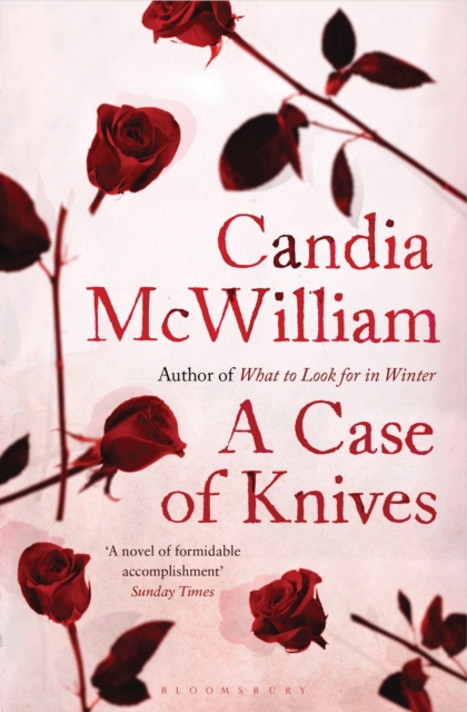 A Case of Knives, EPUB eBook