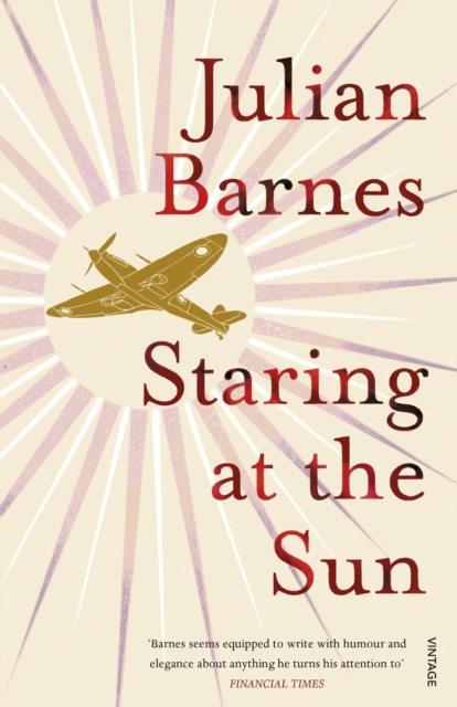 Staring At The Sun, EPUB eBook