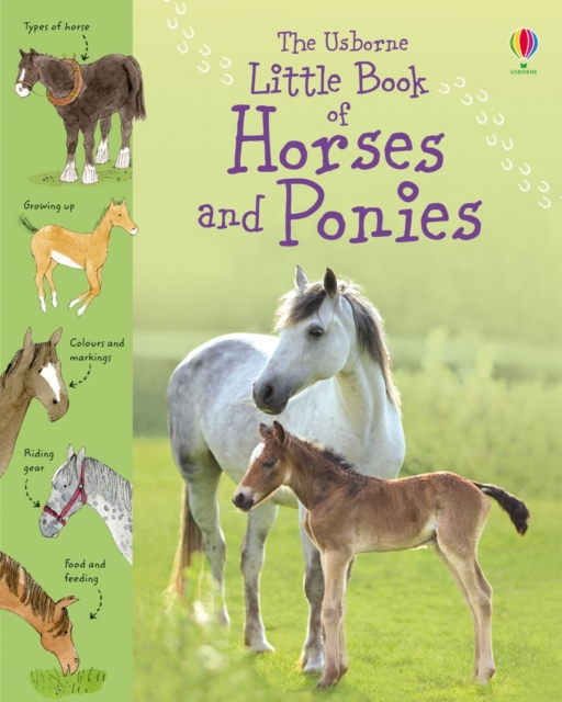 Little Book of Horses and Ponies, Hardback Book
