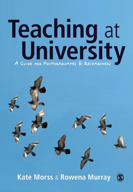 Teaching at University : A Guide for Postgraduates and Researchers, Paperback / softback Book