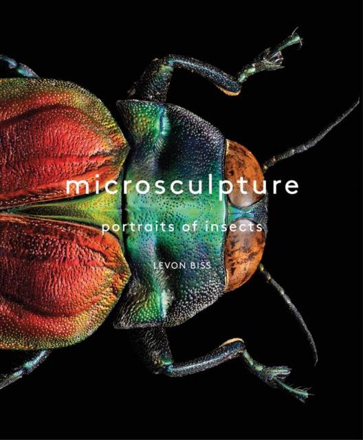Microsculpture : Portraits of Insects, Hardback Book