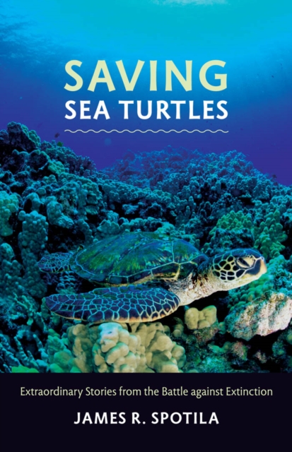 Saving Sea Turtles, EPUB eBook