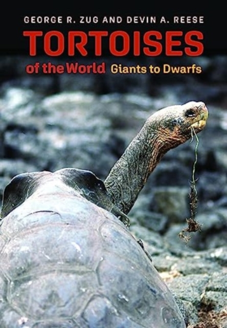 Tortoises of the World : Giants to Dwarfs, Hardback Book
