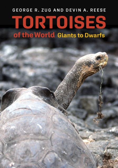 Tortoises of the World, EPUB eBook