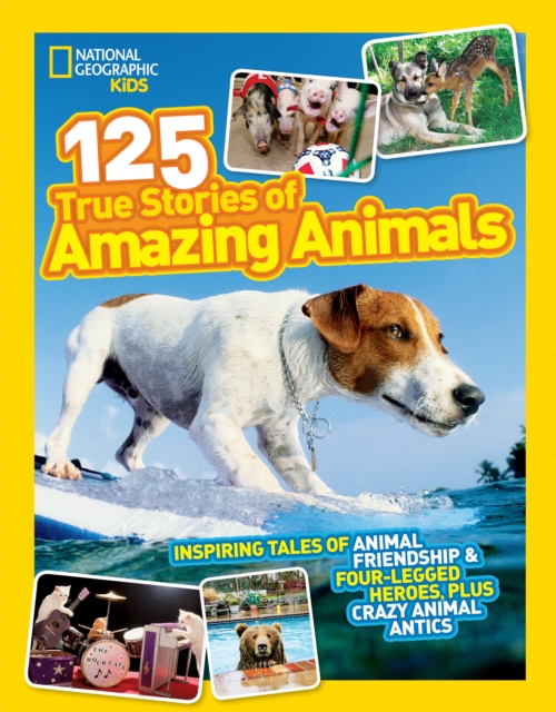125 True Stories of Amazing Animals : Inspiring Tales of Animal Friendship & Four-Legged Heroes, Plus Crazy Animal Antics, Paperback / softback Book