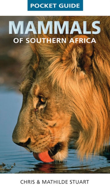 Pocket Guide Mammals of Southern Africa, EPUB eBook