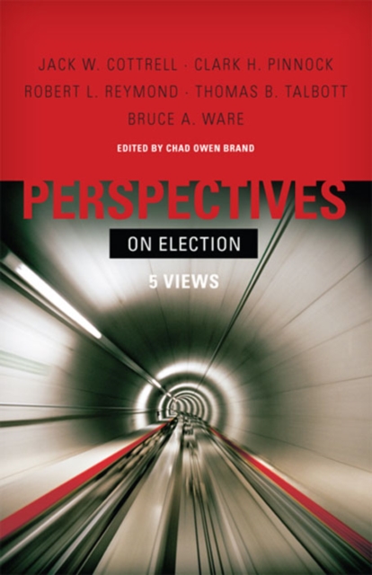 Perspectives on Election, EPUB eBook