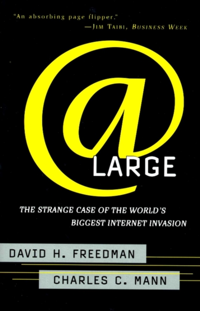 At Large : The Strange Case of the World's Biggest Internet Invasion, EPUB eBook