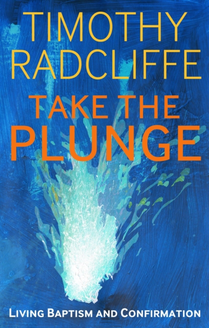 Take the Plunge : Living Baptism and Confirmation, EPUB eBook