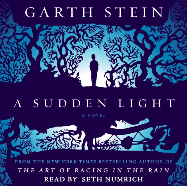 A Sudden Light : A Novel, eAudiobook MP3 eaudioBook