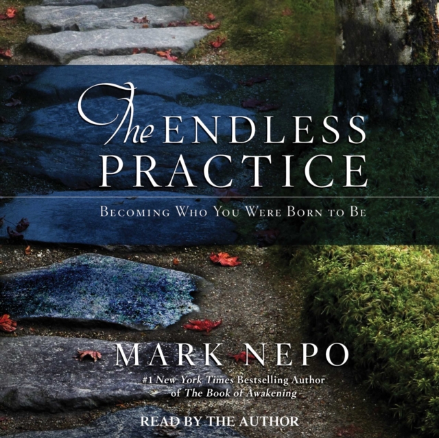 The Endless Practice : Becoming Who You Were Born to Be, eAudiobook MP3 eaudioBook