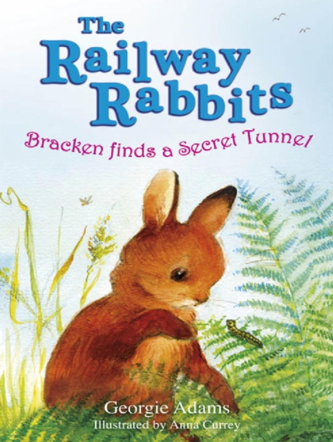 Railway Rabbits: Bracken Finds a Secret Tunnel : Book 5, EPUB eBook