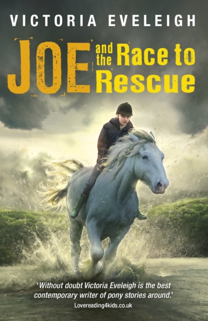 Joe and the Race to Rescue : Book 3, EPUB eBook