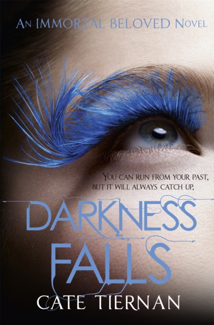 Darkness Falls (Immortal Beloved Book Two), Paperback / softback Book