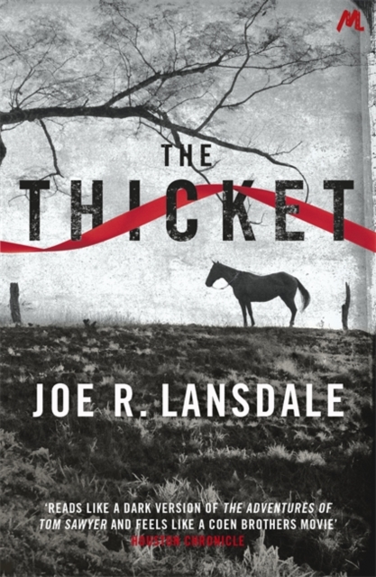 The Thicket, Paperback / softback Book