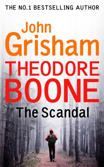 Theodore Boone: The Scandal : Theodore Boone 6, EPUB eBook