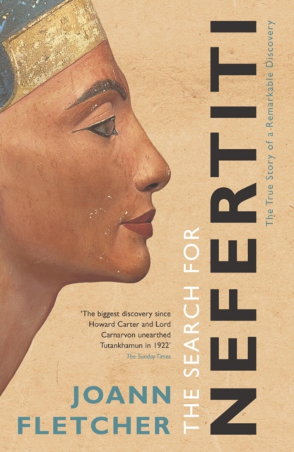 The Search For Nefertiti, EPUB eBook