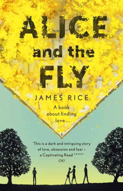 Alice and the Fly : 'a darkly quirky story of love, obsession and fear' Anna James, EPUB eBook