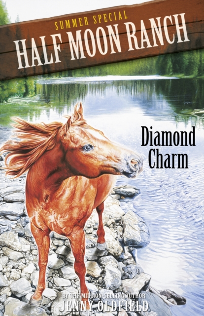 Summer Special: Diamond Charm, EPUB eBook