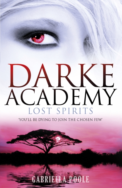 Lost Spirits : Book 4, EPUB eBook