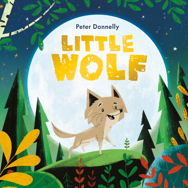 Little Wolf, Paperback / softback Book