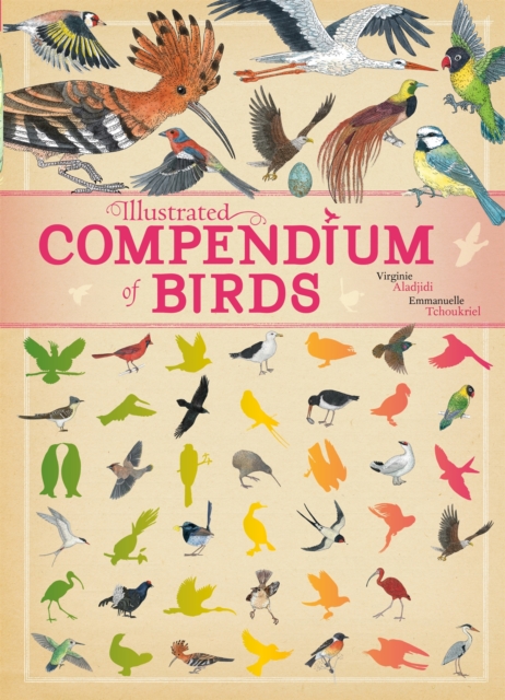 Illustrated Compendium of Birds, Hardback Book