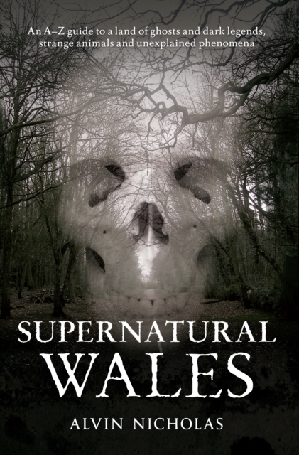 Supernatural Wales, EPUB eBook