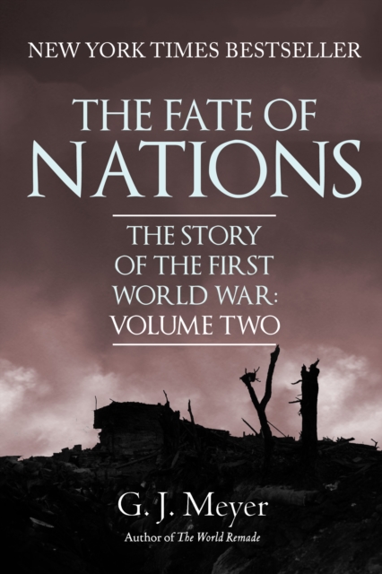 The Fate of Nations : The Story of the First World War, Volume Two, EPUB eBook