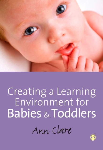 Creating a Learning Environment for Babies and Toddlers, PDF eBook
