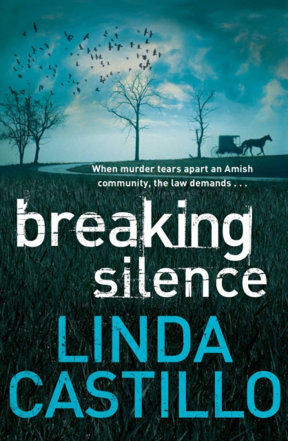 Breaking Silence, EPUB eBook