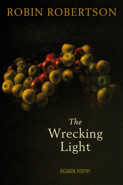 The Wrecking Light, EPUB eBook