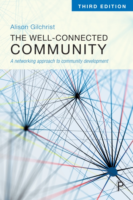 The Well-Connected Community : A Networking Approach to Community Development, PDF eBook